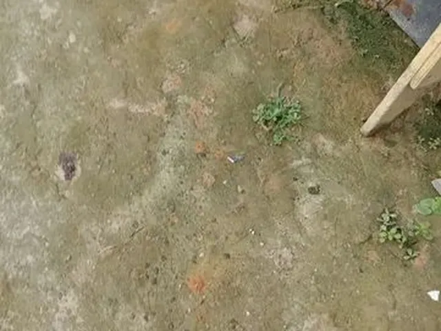 Imagem 4: Vendo Casa na Cidade de Deus Barrames