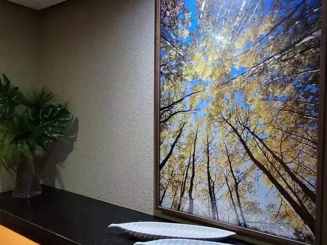 Imagem 1: Excelente Quarto e Sala Vista Mar