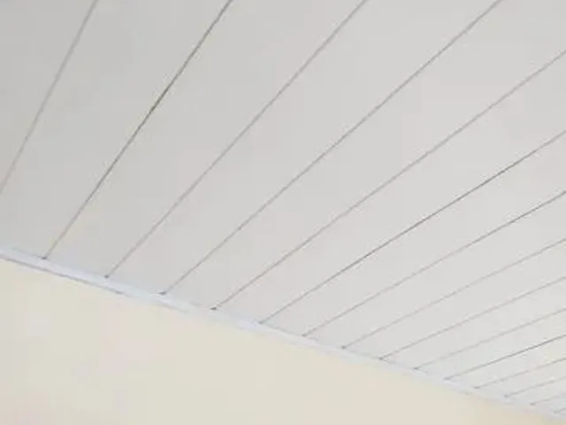 Imagem 8: Espaço pra Trabalho Ou Moradia