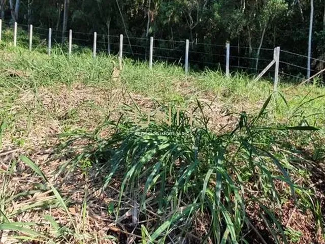 Imagem 8: Terreno na Trindade, 780M, Trindade/Florianopolis