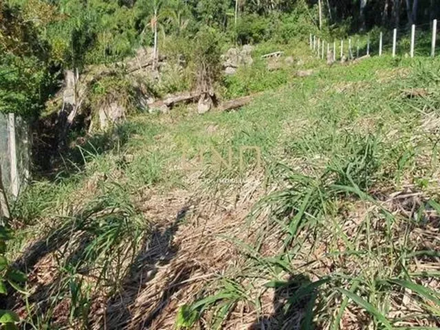 Imagem 5: Terreno na Trindade, 780M, Trindade/Florianopolis