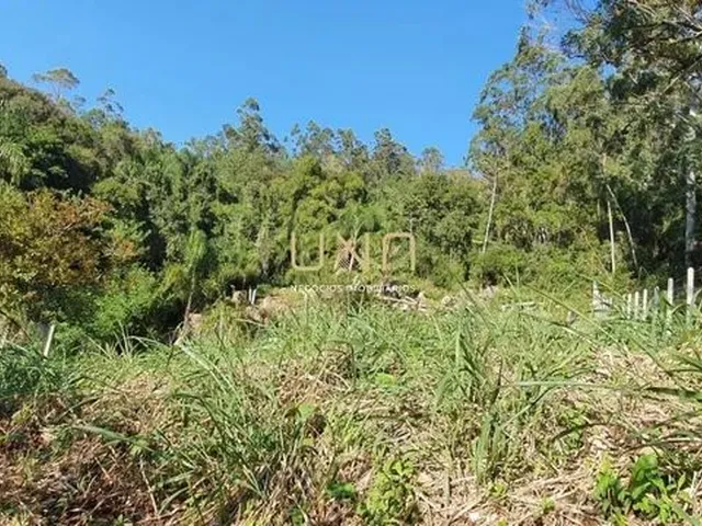 Imagem 9: Terreno na Trindade, 780M, Trindade/Florianopolis