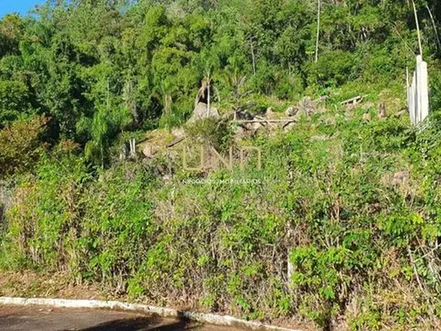 Imagem 10: Terreno na Trindade, 780M, Trindade/Florianopolis