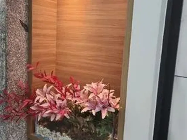 Imagem 6: Alugo Sala Comercial no Renascença II