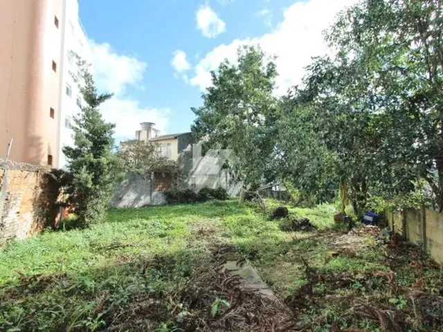 Imagem: Curitiba - Terreno Padrão - Mercês