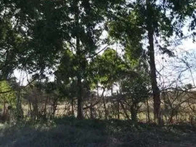Imagem: Terreno Chácara Baronesa - Bairro Primavera