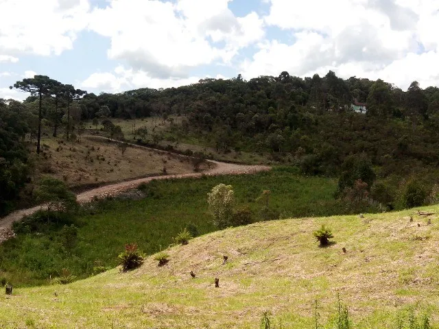 Imagem 1: Chácara Papanduva da Serra