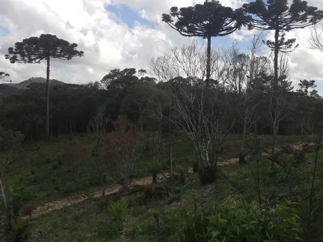 Imagem 2: Chácara Papanduva da Serra