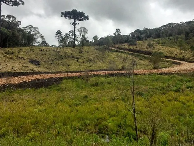 Imagem 8: Chácara Papanduva da Serra