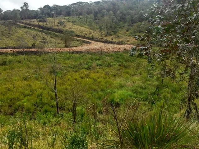 Imagem 7: Chácara Papanduva da Serra