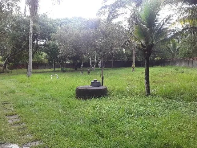 Imagem 11: Sitio no Miritíua / Turú
