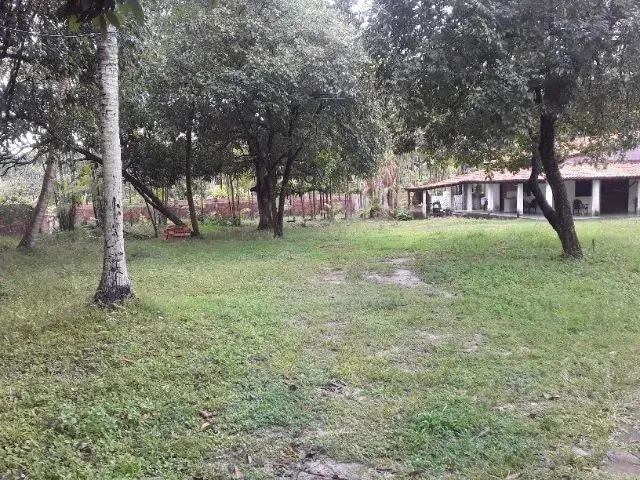Imagem 13: Sitio no Miritíua / Turú