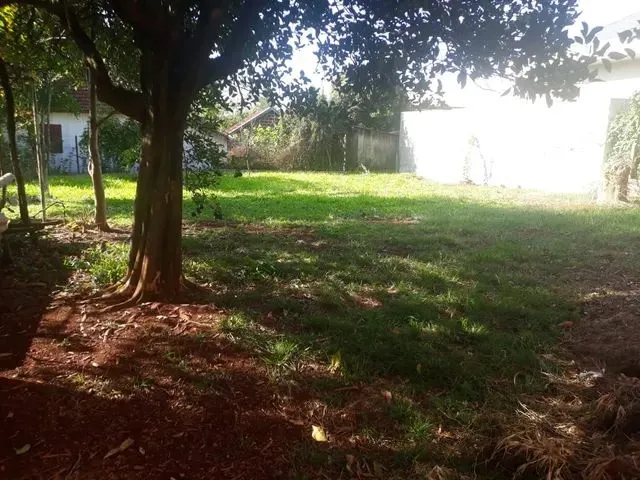 Imagem 4: Casa com Amplo Terreno