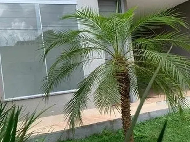 Imagem 11: Casa a Venda Casa com 3 dormitórios