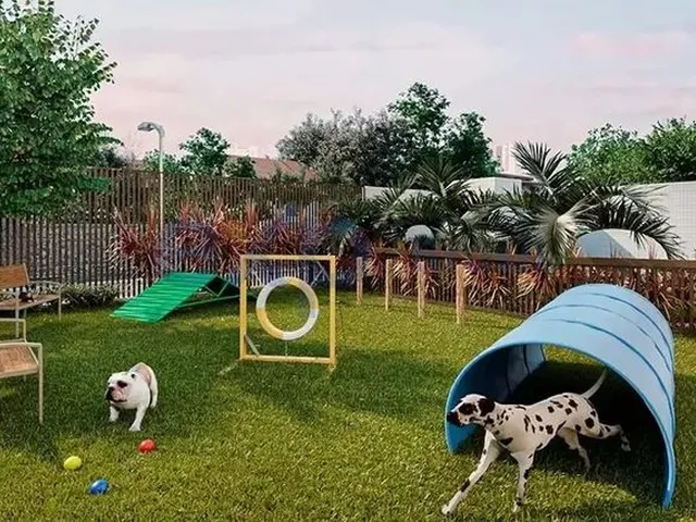 Imagem 10: La Vie do Sonho À Realidade, o Seu Lar