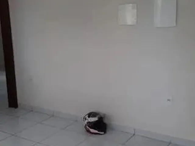Imagem 9: Aluguel Apartamento no Geisel com Varanda