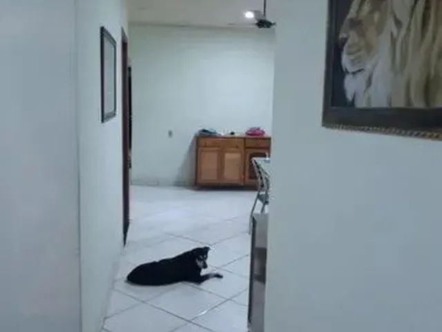 Imagem 2: Alugo Casa e Salão Comercial