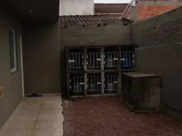 Imagem 8: Alugo Kitnet no Bairro Flor de Nápolis