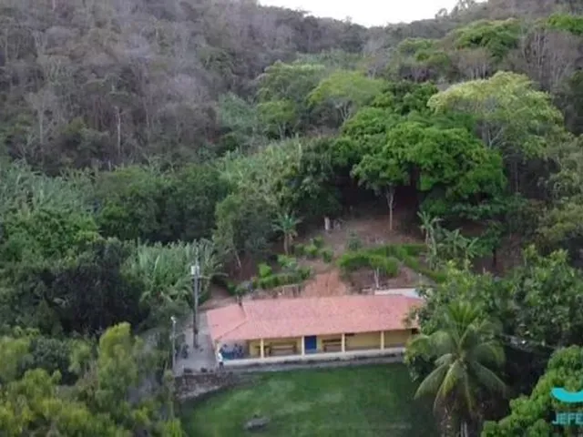 Imagem 2: Terreno de 40 Hectares em Pacoti, Aceita Veiculo no Negocio . Compareça