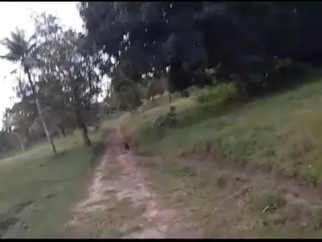 Imagem: Granja no Cabo