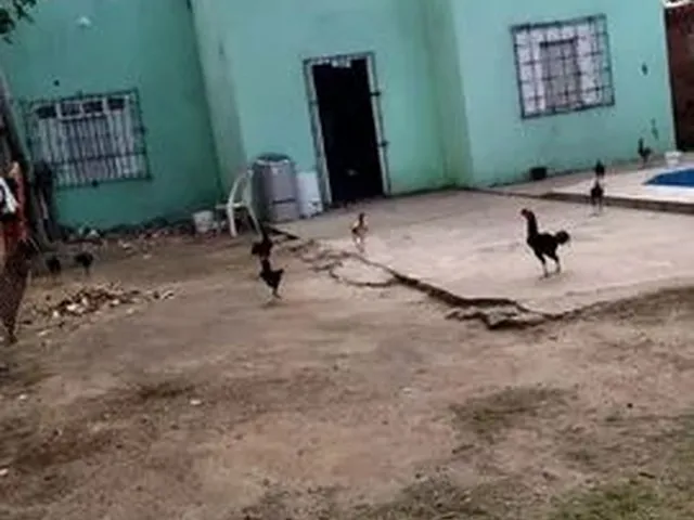 Imagem 2: Vende-Se Uma Casa Murada