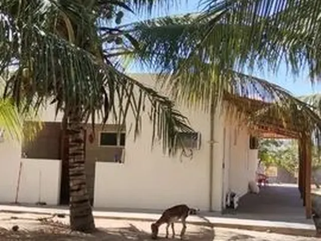 Imagem: Sítio em Barra do Pojuca