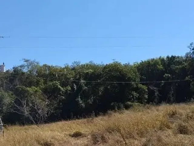 Imagem 7: Sitio Cruzeiro do Bom Jardim 38414Mt