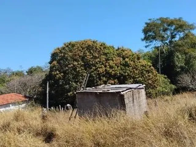 Imagem 9: Sitio Cruzeiro do Bom Jardim 38414Mt
