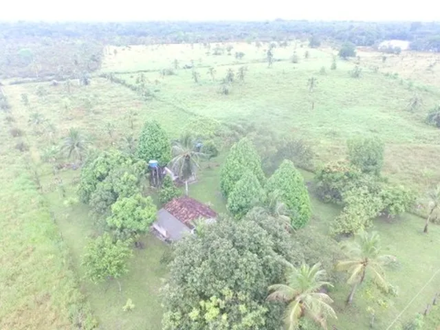 Imagem: R$ 600 Mil 114 Hectares Fazenda Há 107