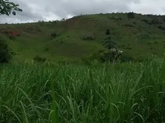 Imagem: Sítio 6 Alqueires,Terra Baixa, Chácara
