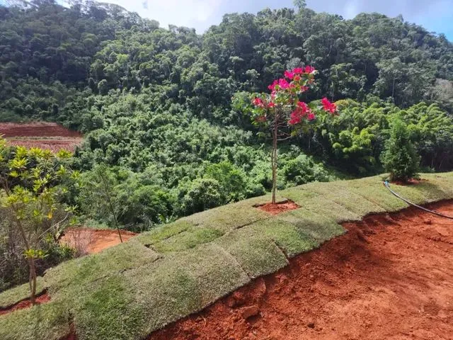Imagem: Sítio em Domingos Martins, 4,7 Km do Centro