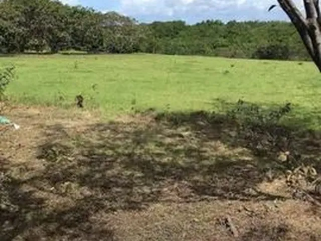 Imagem: Vendo Sítio em Salinas Bairro América