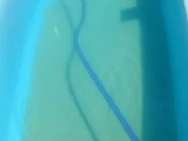 Imagem: Limpeza de Piscinas