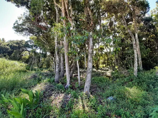 Imagem: Terreno Mariscal T02