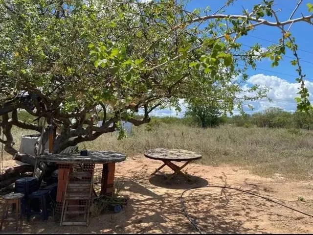 Imagem 5: Sítio no Serrote da Batatateira