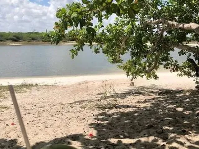 Imagem 4: Lotes Ha 900M da Praia em Paracuru, 6X25 . Prontamente