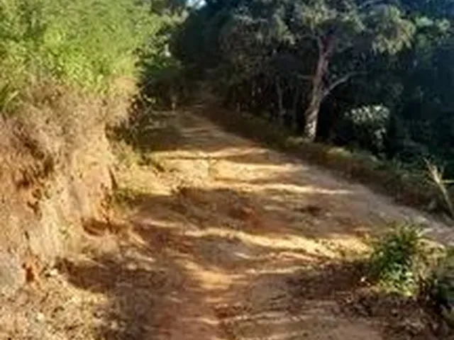 Imagem 4: Sítio Chácara com venda por R$70.000