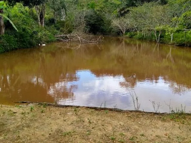 Imagem: Vendo Excelente Fazenda Agricultura em Valença