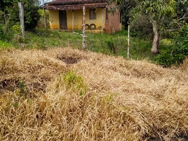 Imagem 8: Vendo Excelente Fazenda Agricultura em Valença