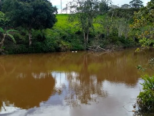 Imagem 15: Vendo Excelente Fazenda Agricultura em Valença
