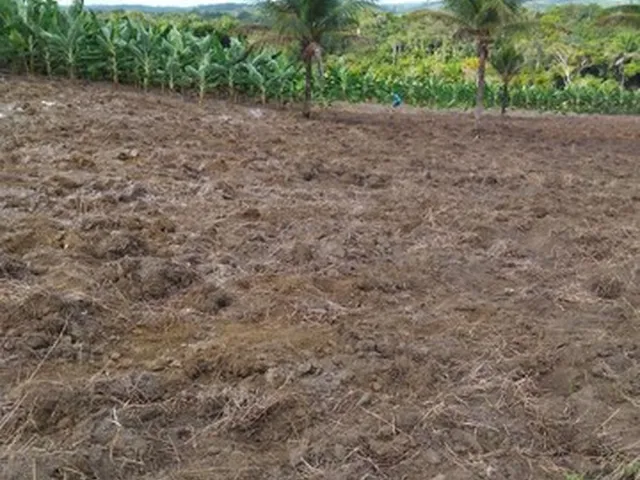 Imagem 16: Vendo Excelente Fazenda Agricultura em Valença