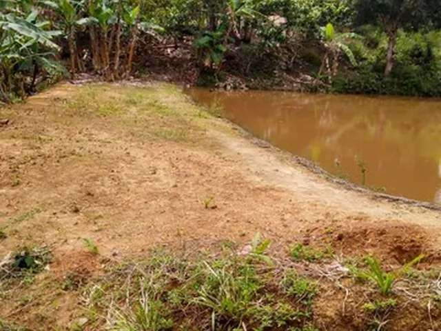 Imagem 11: Vendo Excelente Fazenda Agricultura em Valença