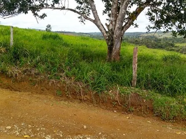 Imagem 4: Vendo Excelente Fazenda Agricultura em Valença