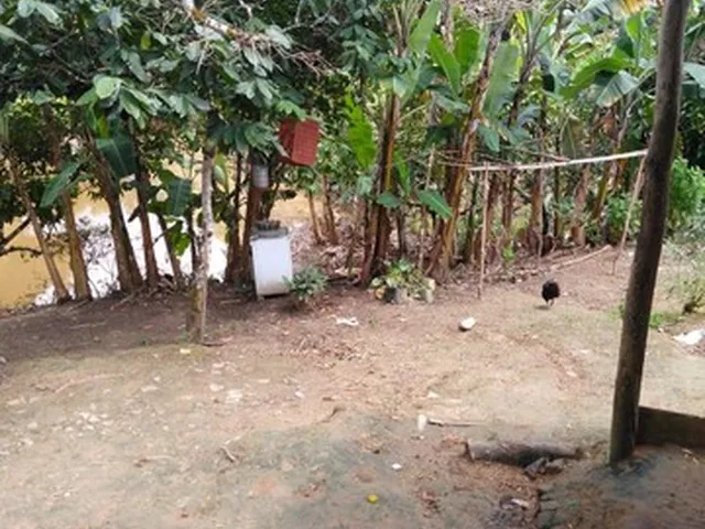 Imagem 12: Vendo Excelente Fazenda Agricultura em Valença