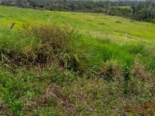Imagem 3: Vendo Excelente Fazenda Agricultura em Valença
