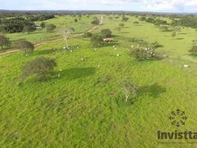 Imagem: . Fazenda 125 Alqueires a 72 Km da Capital