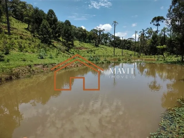 Imagem: Sítio 59.800M² em Campo Alegre - Aceita