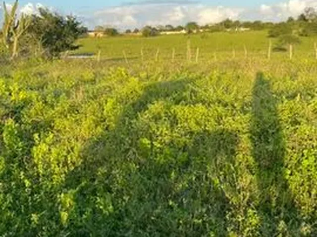 Imagem: Lote para Construção 6X22 Metros