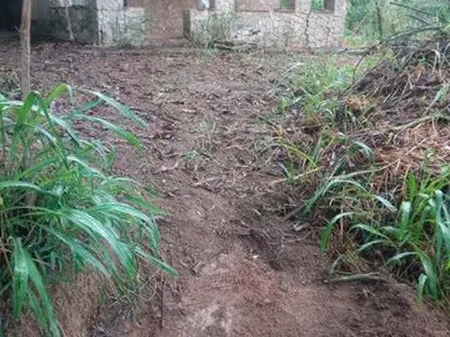 Imagem: Vendo Mini Sítio em 5 Lagos Mendes