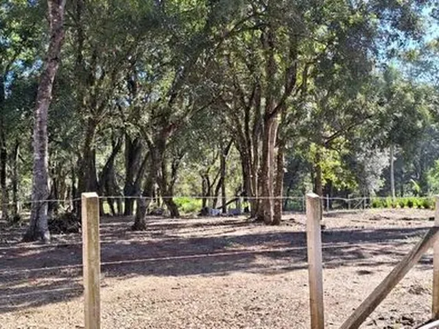 Imagem: Vende-Se Terreno Ótima Localização